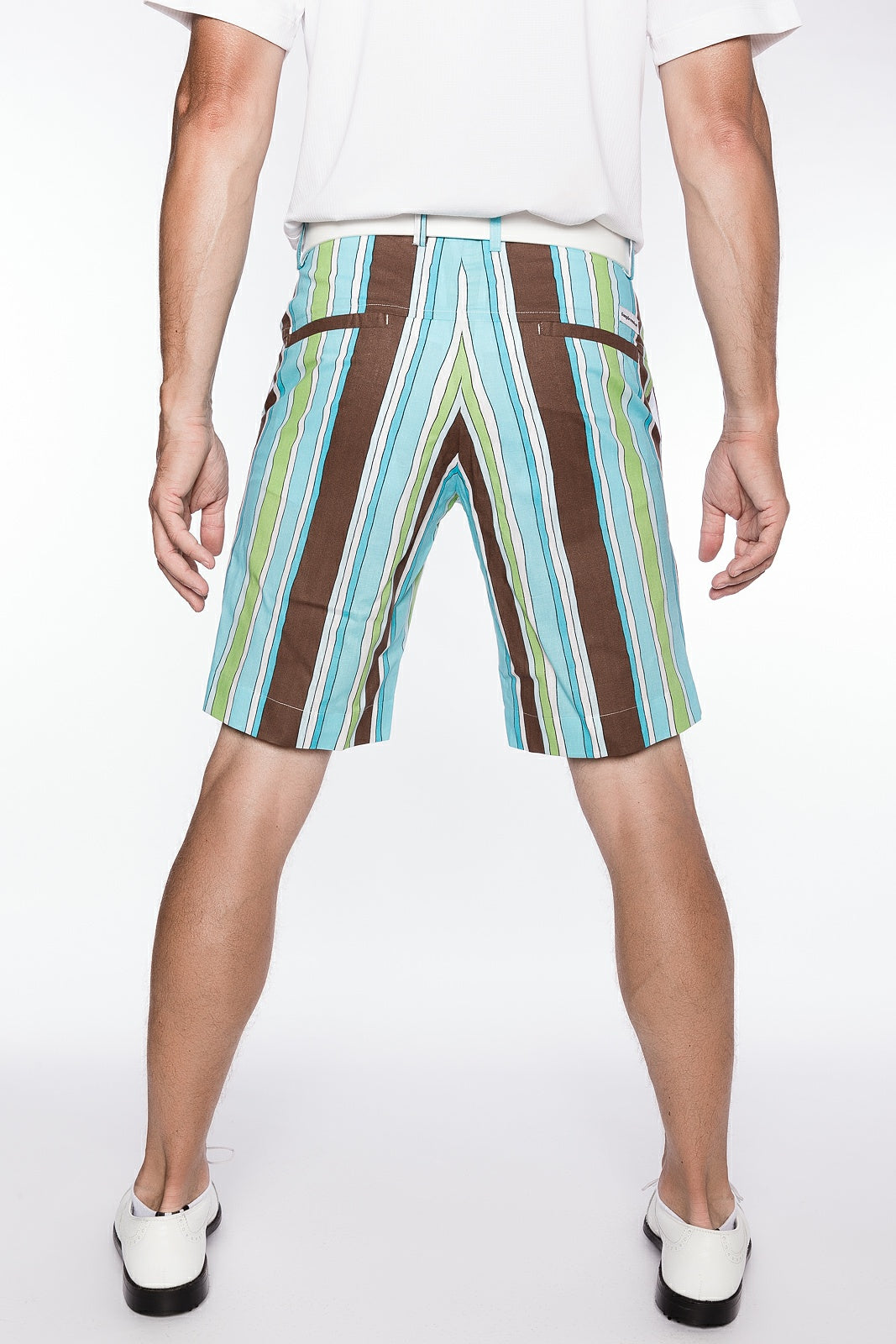 Sport Monaco Slim Fit Stripe Print Cotton Shorts - BLUE / GREEN / BROWN